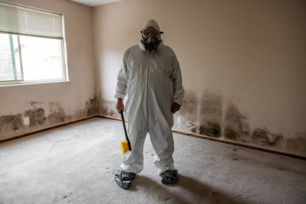 Best Crawl Space Mold Removal  in Tallapoosa, GA