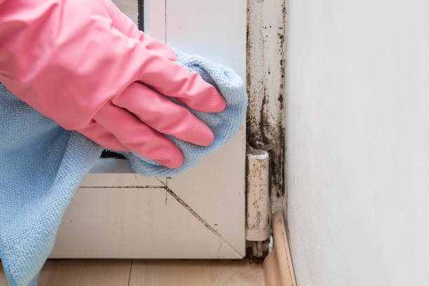 Best Residential Mold Removal  in Tallapoosa, GA